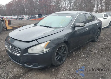 2011 Nissan Maxima 3.5 Sv z USA, uszkodzony, nr VIN 1N4AA5AP6BC815398